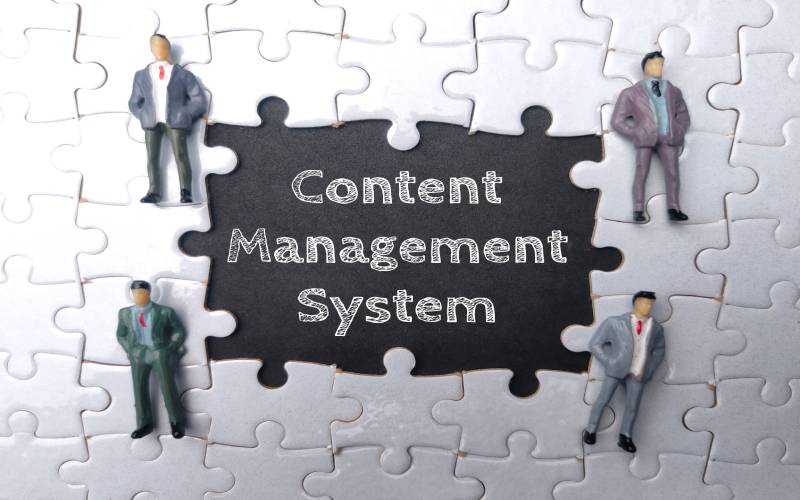 Content Management Systeme (CMS)